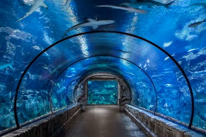 Hurghada Grand Aquarium glass tunnel walk with sharks overhead, discovery tour tickets and hotel transfers