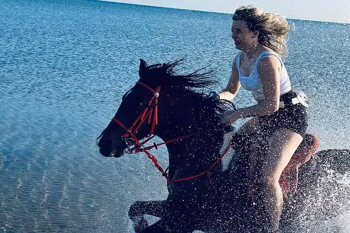 Woman riding a black horse through Red Sea surf in Hurghada, Egypt, with optional swimming on tour