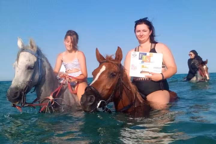 Guests swim with horses in the Red Sea on a Hurghada desert and sea horse riding tour with optional swimming