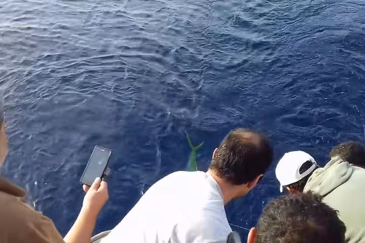 Guests spotting a fish beside the boat during a Hurghada Red Sea fishing tour, Egypt offshore waters