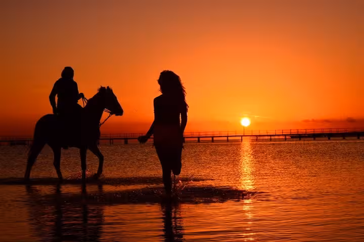 Hurghada Red Sea sunset horseback riding on the shore, desert and sea tour with optional swimming