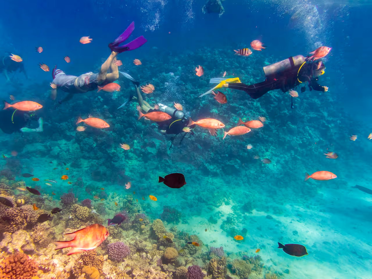 Snorkelers and divers over vibrant Red Sea coral reef with tropical fish on a Hurghada seascope tour