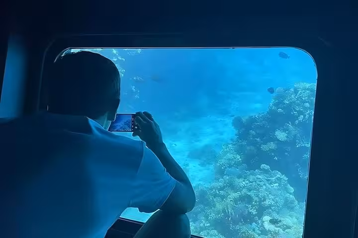 Guest photographing Red Sea coral reef through semi-submarine window on Hurghada snorkeling tour