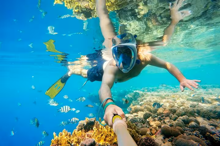 Snorkeling above vibrant coral reef with tropical fish on 2-hour Hurghada semi-submarine Red Sea trip