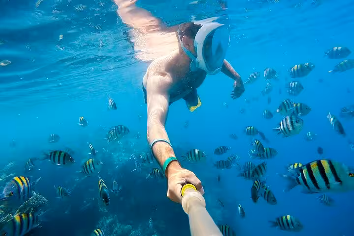 Snorkeler with selfie stick among colorful reef fish on Hurghada semi-submarine tour in the Red Sea
