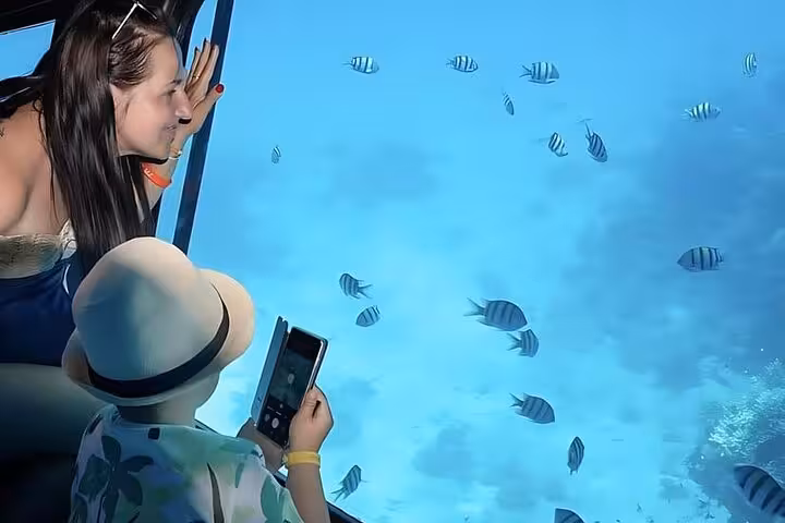 Woman and child photographing tropical fish from Hurghada semi-submarine glass cabin on Red Sea snorkeling trip