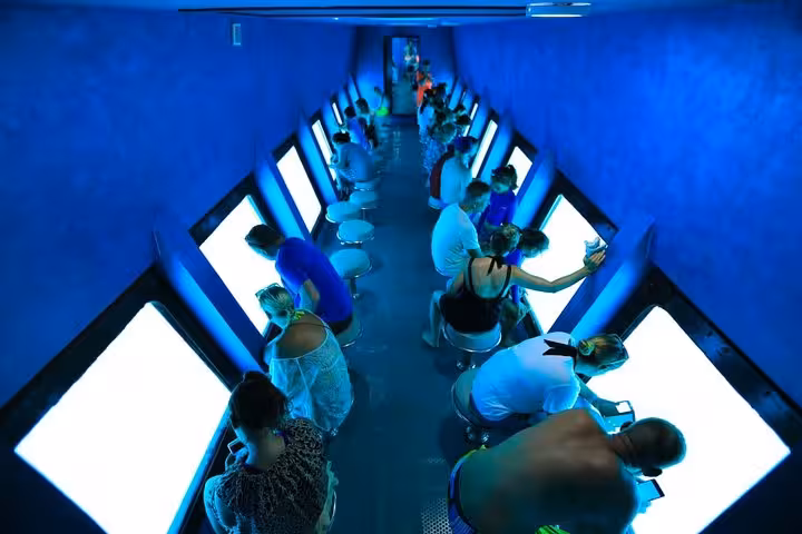 Passengers viewing marine life through underwater windows inside Hurghada semi-submersible Red Sea excursion