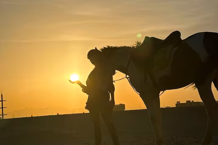 Sunset desert horse ride in Hurghada, rider and horse silhouette on sand, scenic desert & sea adventure excursion