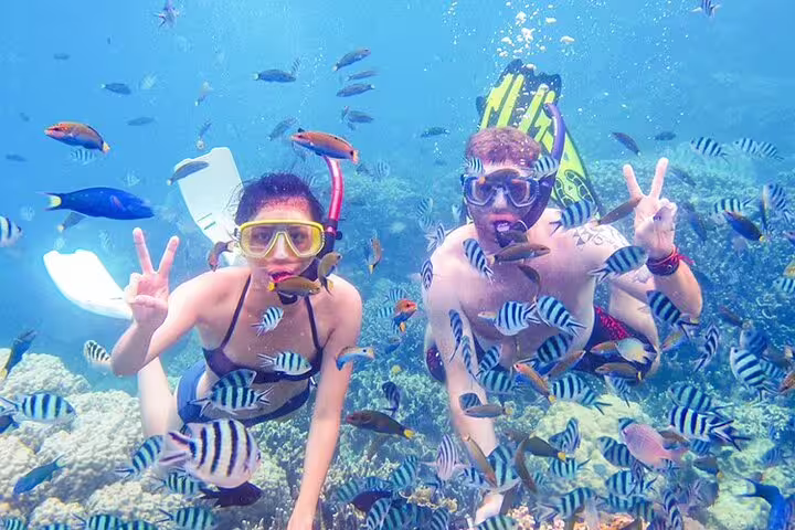 Snorkelers posing with tropical fish on Hurghada VIP boat snorkeling day trip, Red Sea coral reef