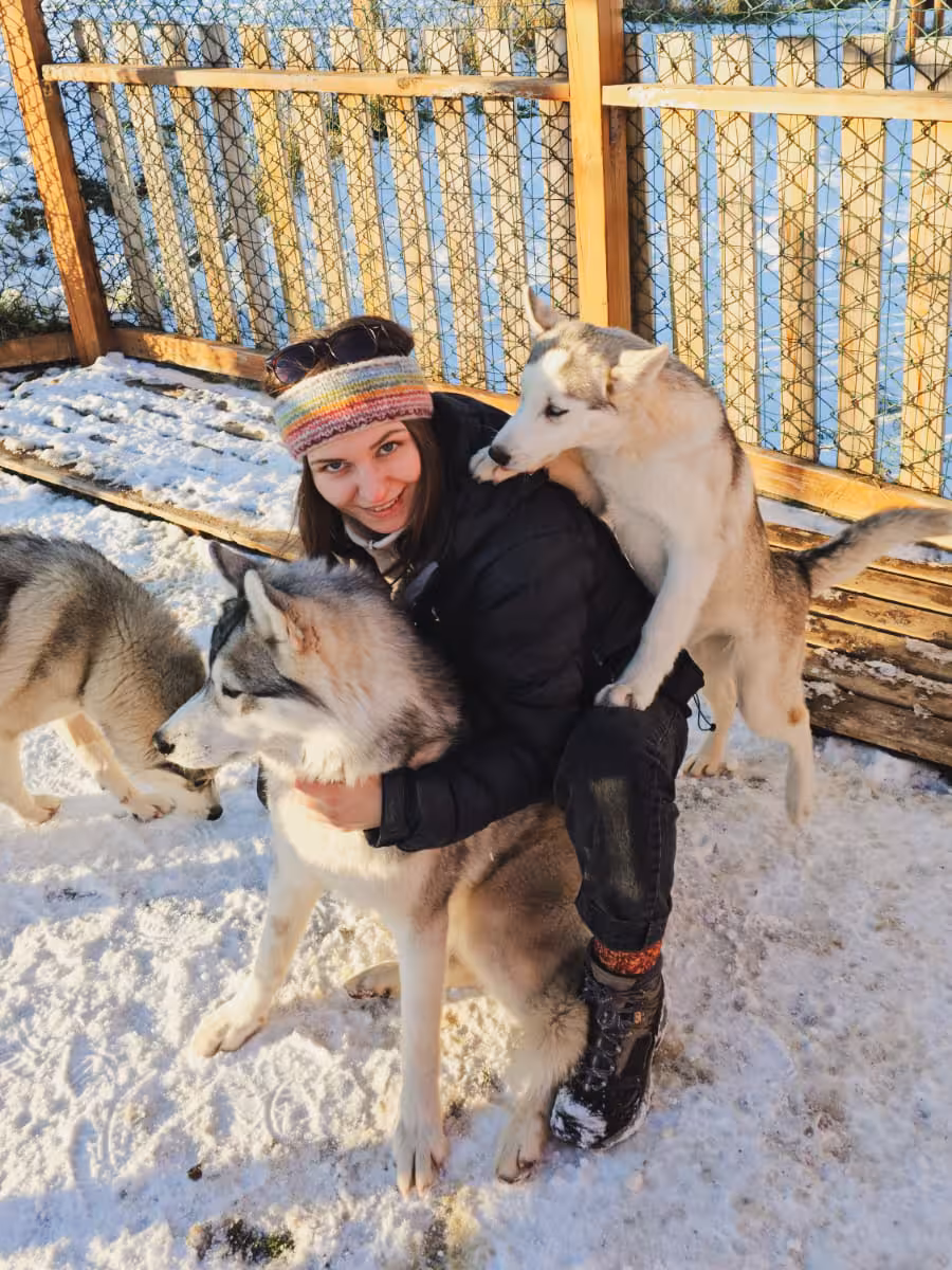 Guest cuddling friendly huskies in snowy kennel, private Arctic adventure husky experience before aurora