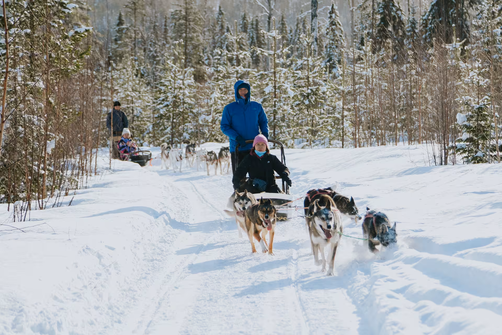 Tourists enjoying a self-drive husky sled ride through a snowy forest, highlighting adventure and nature.