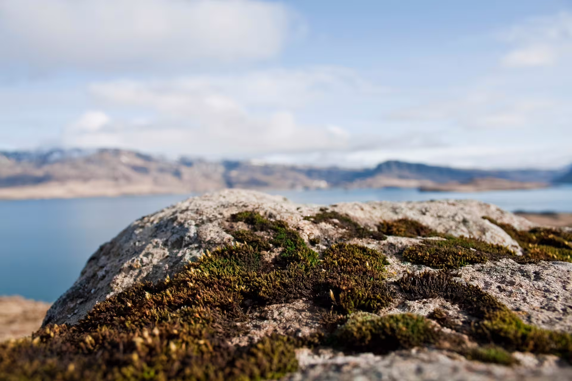 Moss-covered rocks with breathtaking hidden fjord and mountain scenery on a peaceful Iceland nature escape