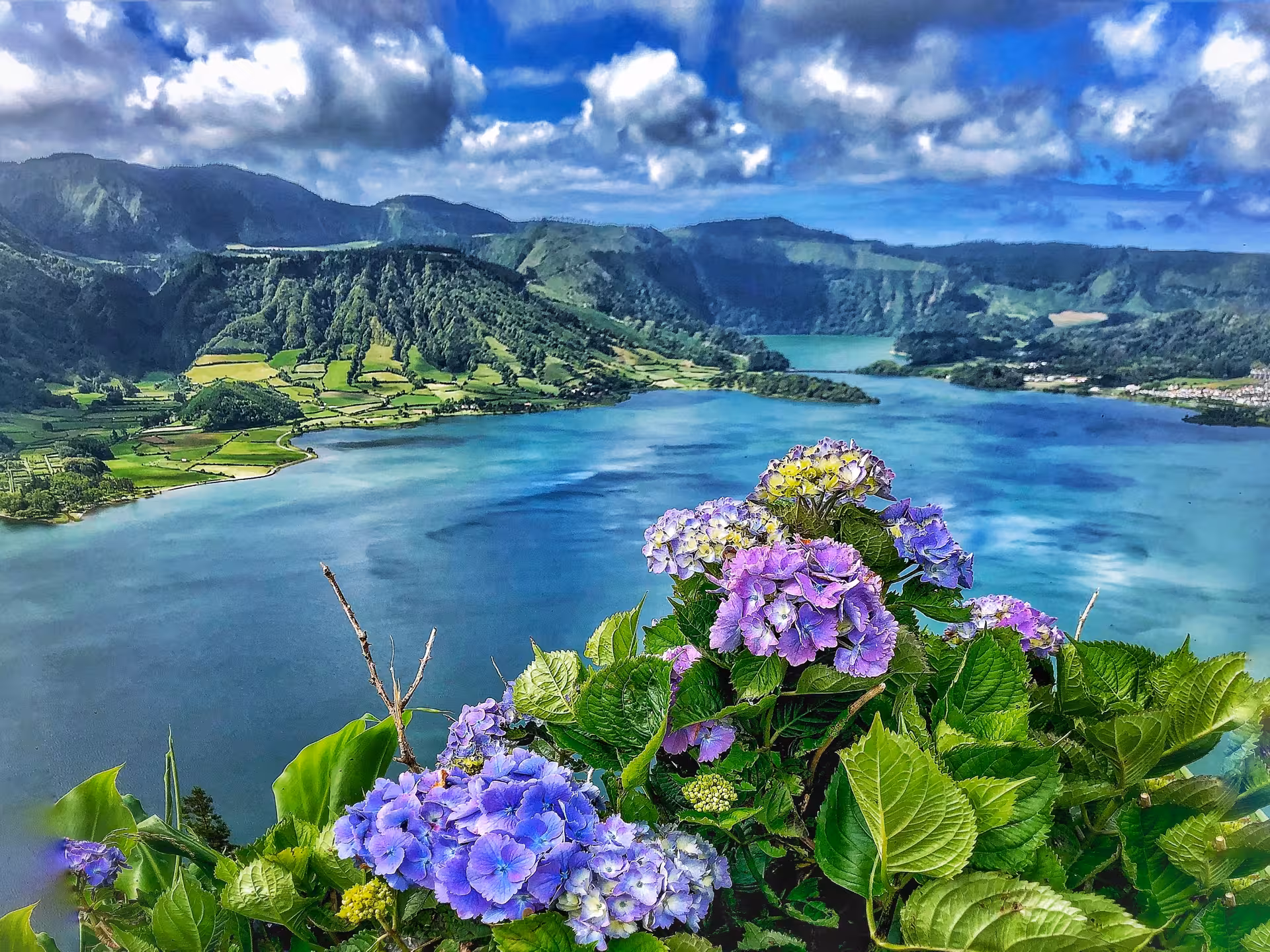 Hydrangeas overlooking Sete Cidades Lagoon viewpoint on HIKE Seven Cities - Ferraria tour, São Miguel Azores