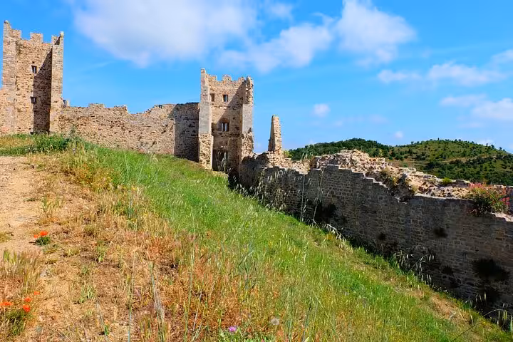 Medieval castle ruins with stone walls and towers on a grassy hillside in Hyeres, France