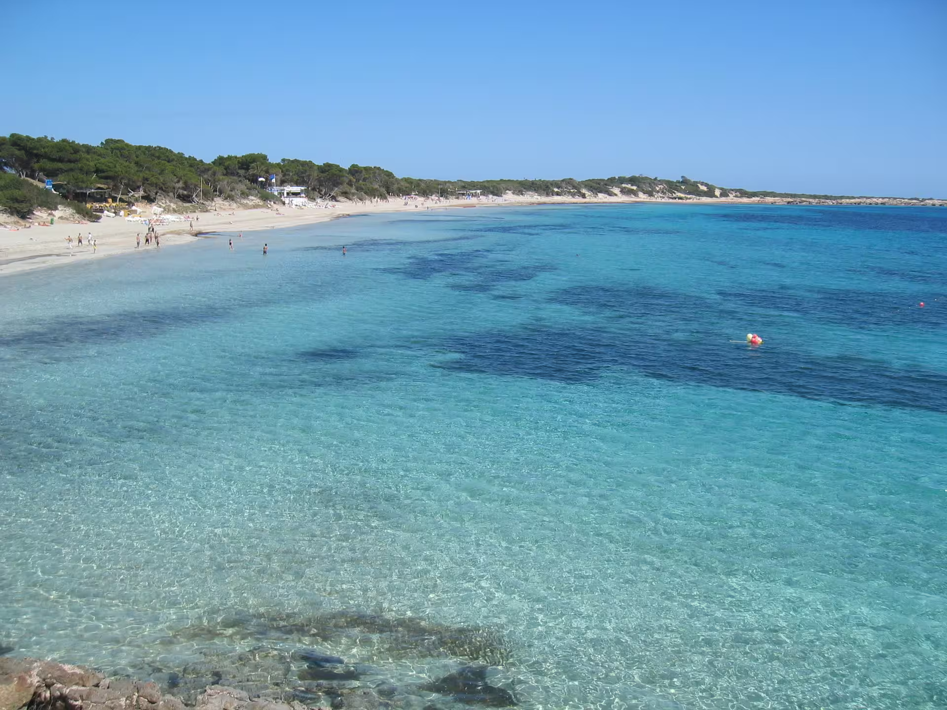 Turquoise Ibiza beach and calm bay view on island bus tour with official guide, perfect for swimming photo stop