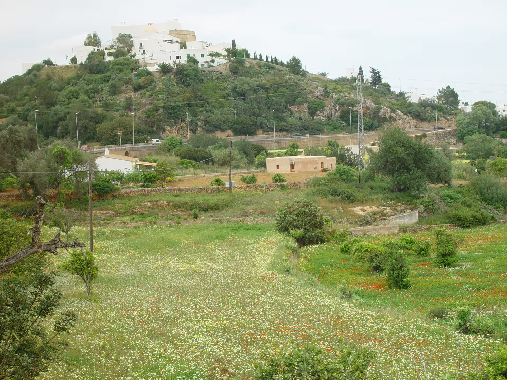 Green Ibiza countryside with white hilltop village and wildflower fields, seen on guided bus island tour