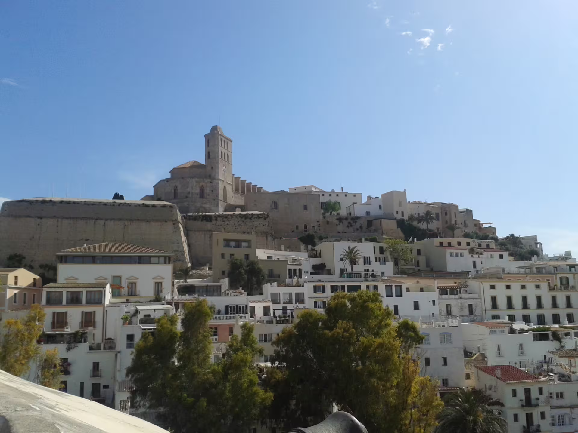 Dalt Vila and Ibiza Cathedral skyline above Ibiza Town, highlight of Ibiza Night transfer with guided port free time