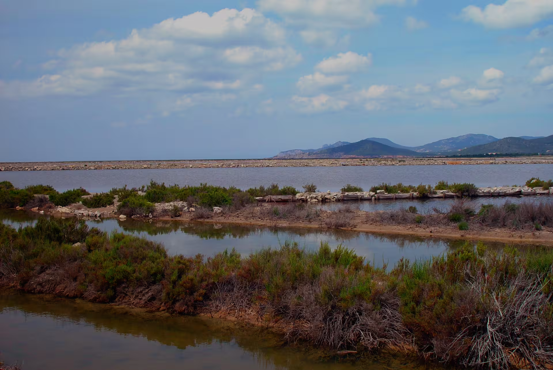 Wetlands and salt pans landscape in Ibiza, seen on guided bus island tour with official guide and photo stop