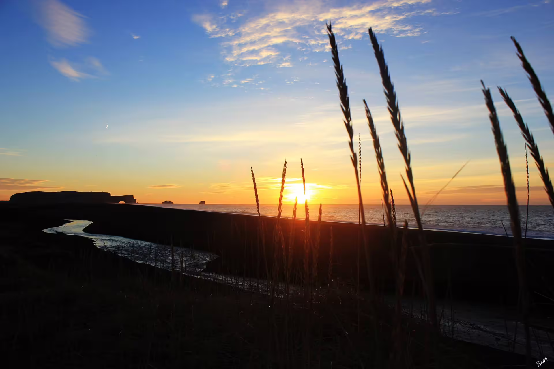Golden sunset over Iceland black sand beach with silhouetted grass and rock arch on a customized private SUV day tour