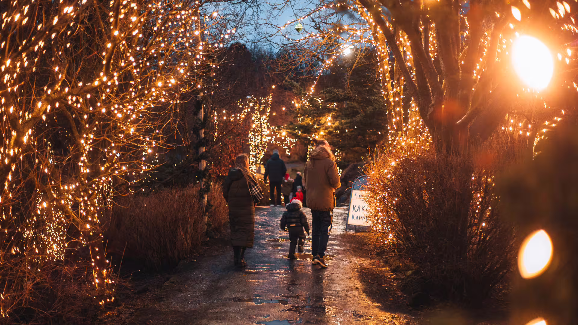 Families walking through a magical tunnel of warm fairy lights on a winter path during Icelandic Christmas season