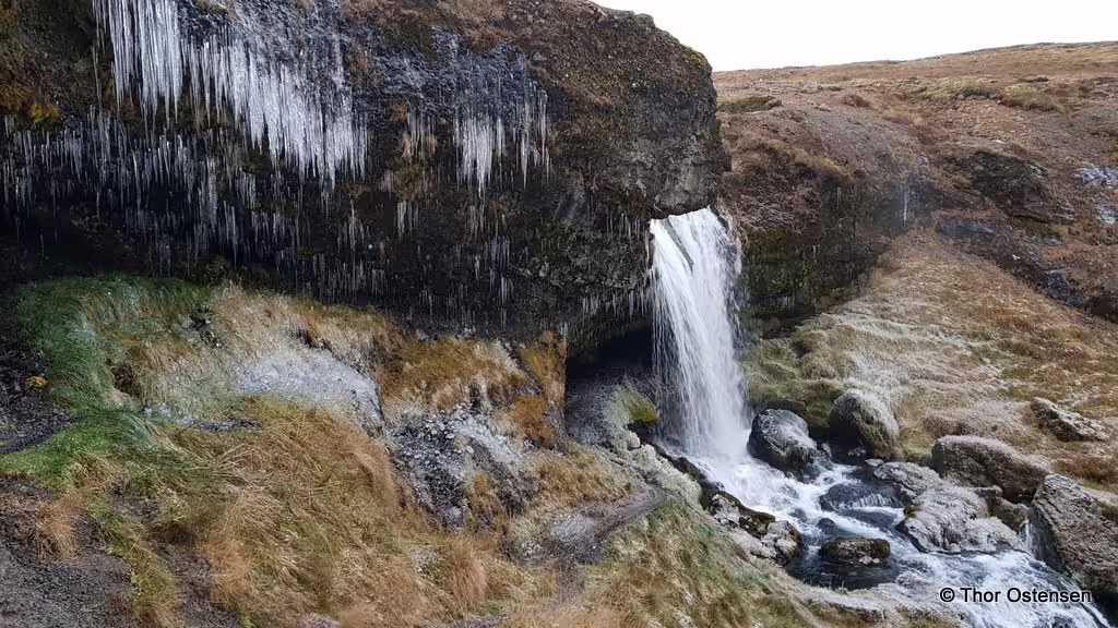 Frozen waterfall with icicles cascading down dark volcanic rock in Iceland winter landscape