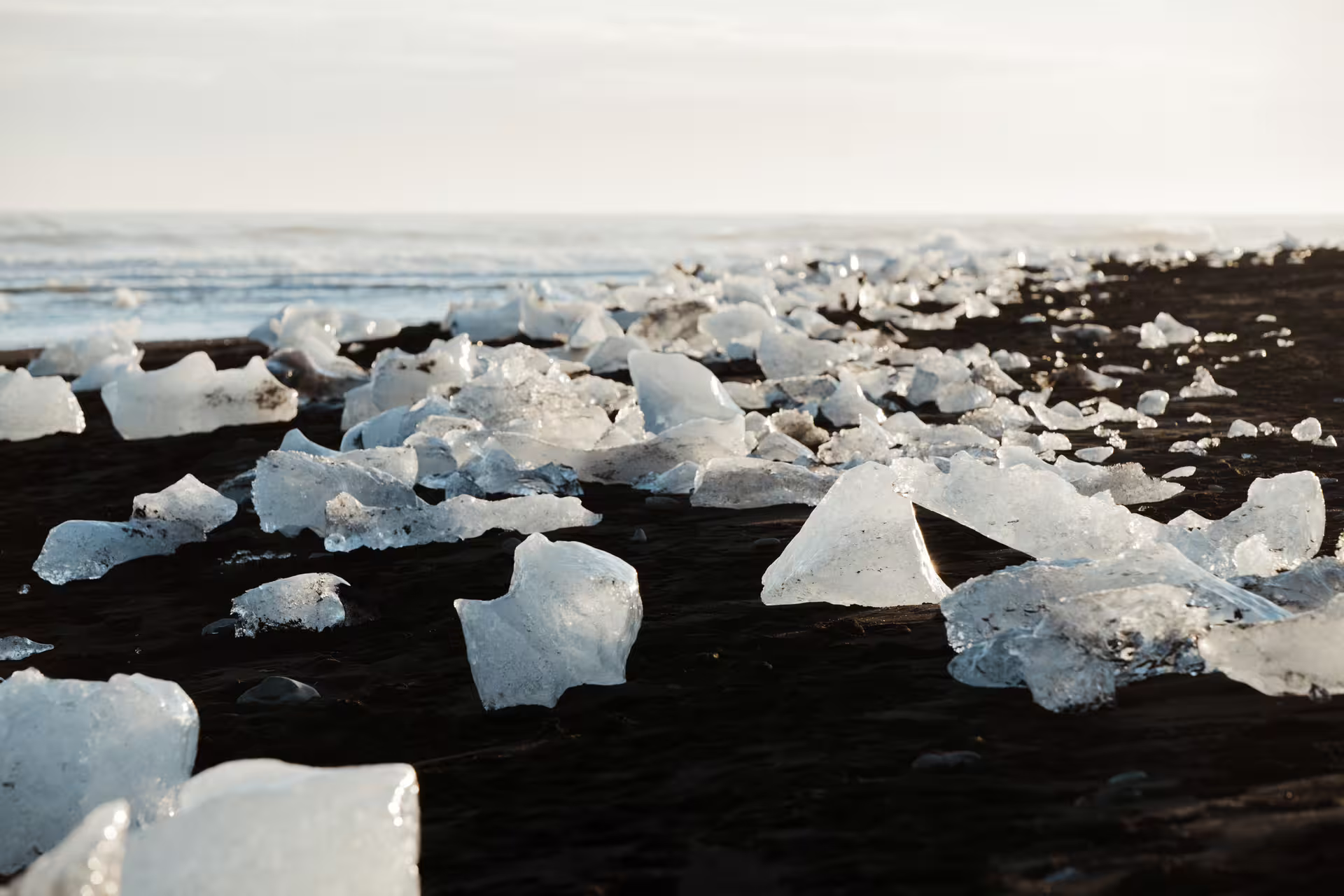 Ice chunks scattered on black sand beach along Iceland's South Coast with ocean in background
