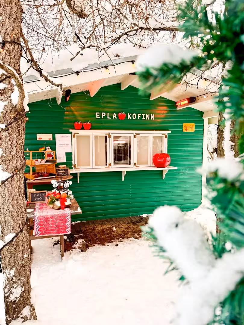 Snowy green Iceland café near Goðafoss, cozy holiday stop on private winter tour with local treats