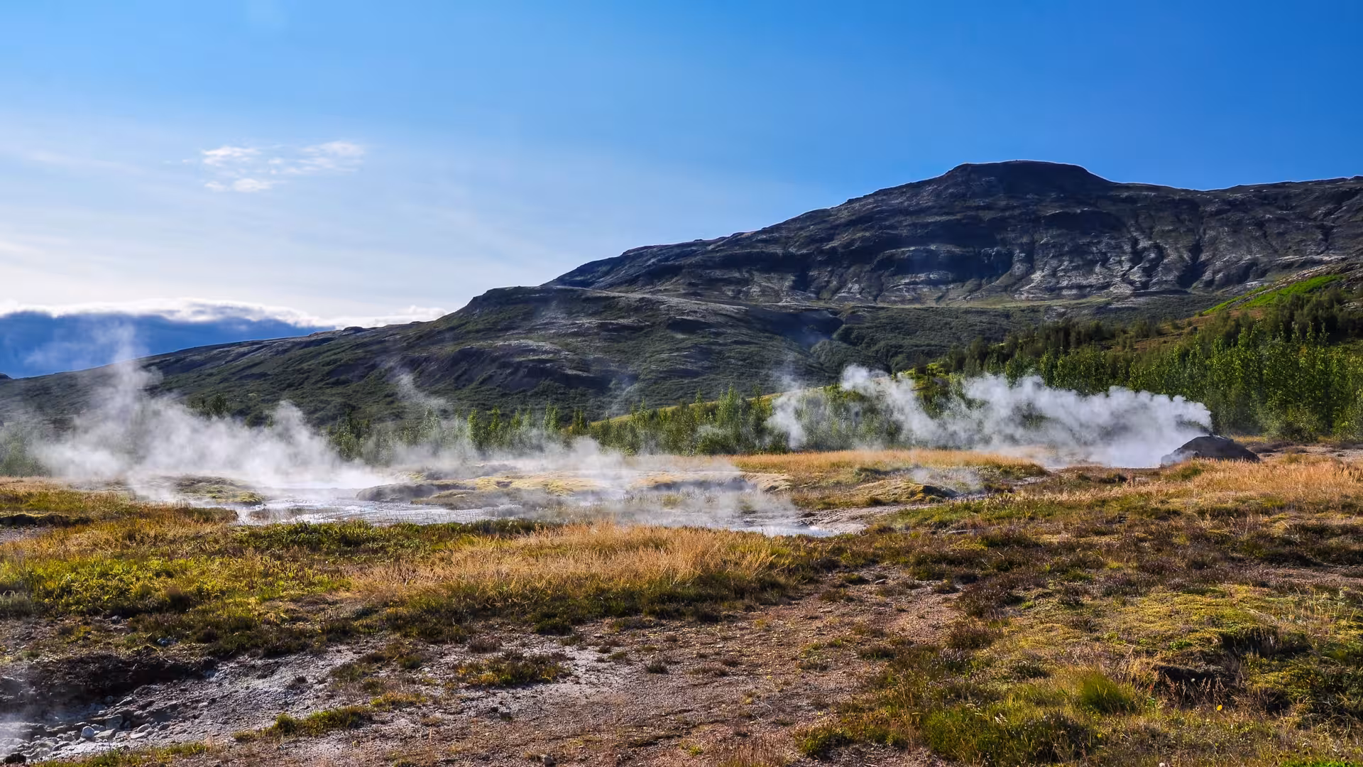 Geothermal steam vents rising from golden fields with mountain backdrop on Iceland's Golden Circle route