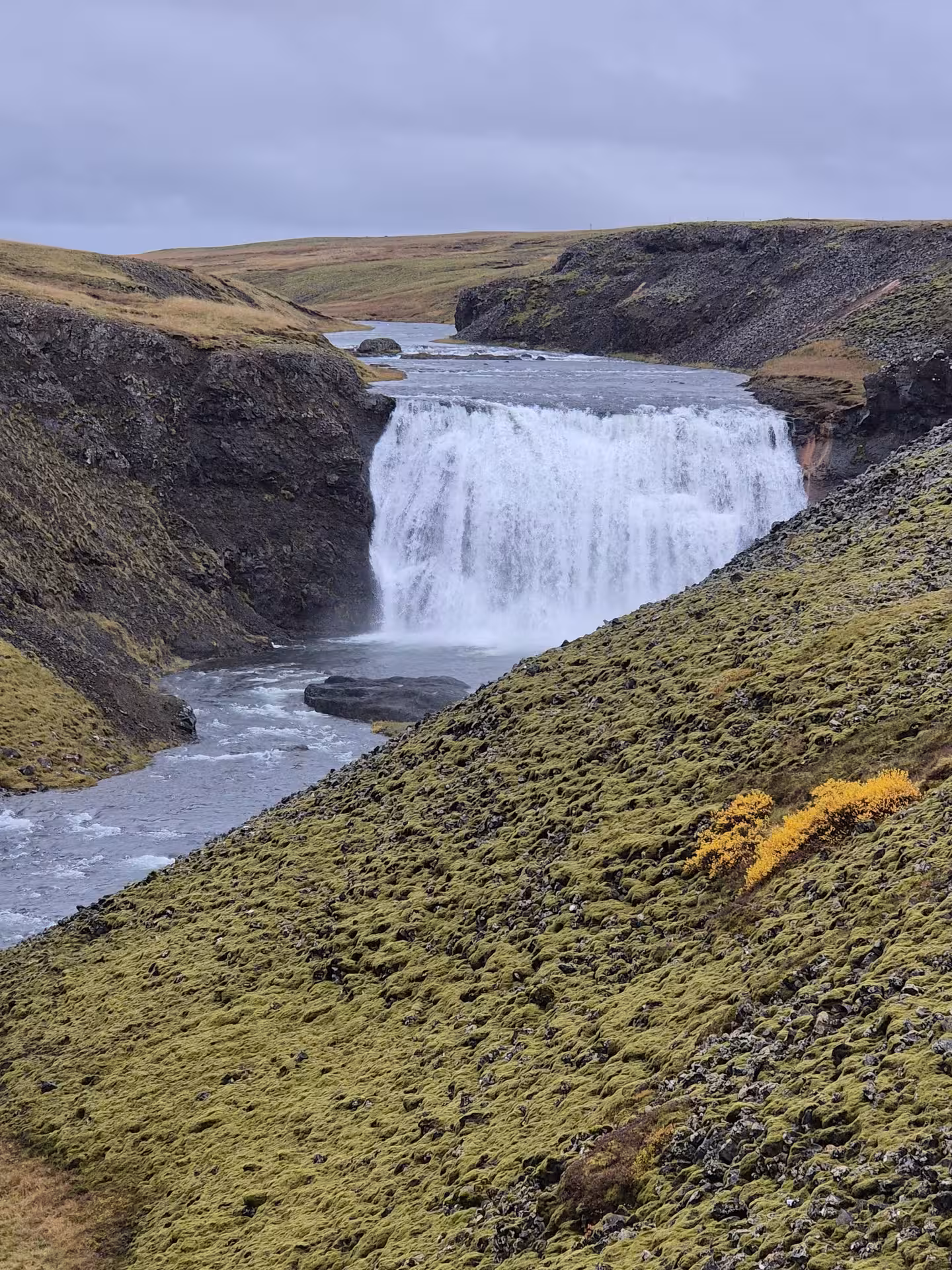 Powerful Icelandic waterfall cascading into a river gorge surrounded by moss-covered lava fields