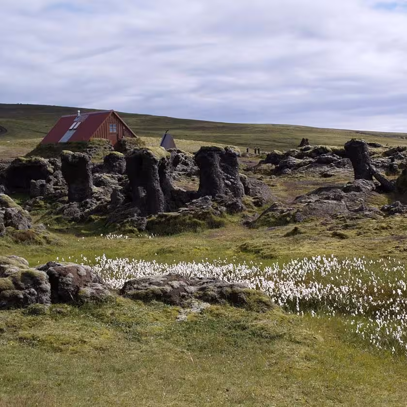 Volcanic lava rock formations with red cabin and cotton grass wildflowers on Iceland highland trek