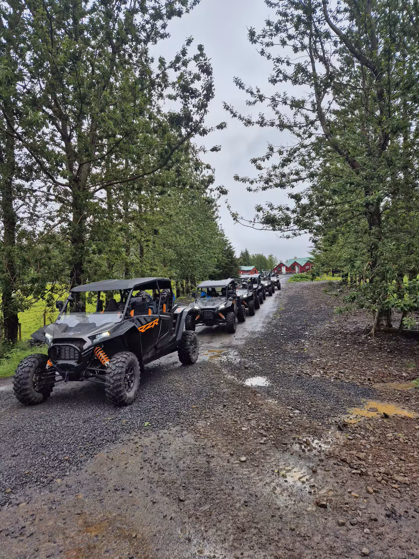 A convoy of black Polaris RZR buggies lined up on a gravel trail through green Icelandic landscape