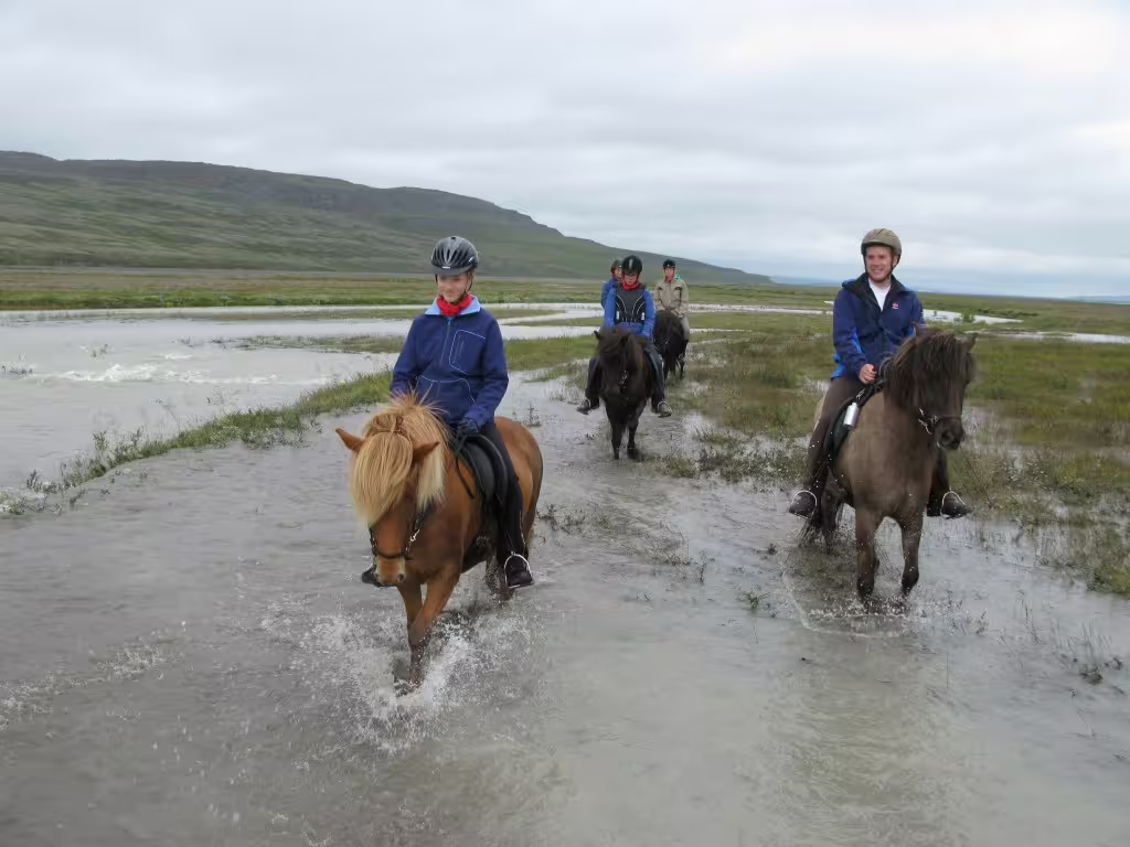 Group of riders on Icelandic horses crossing a shallow glacial river delta during a guided tour