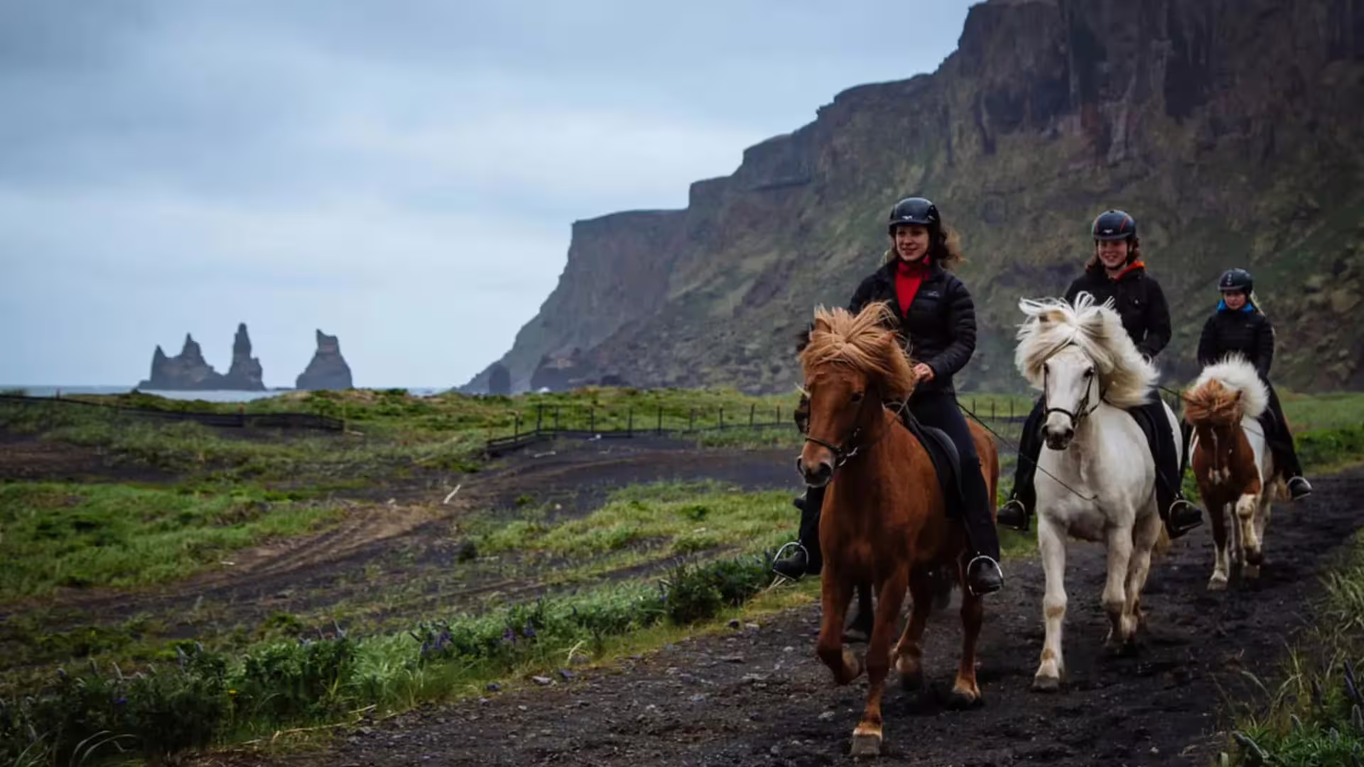 Three riders on Icelandic horses trekking along black volcanic trail with dramatic coastal cliffs and sea stacks in background