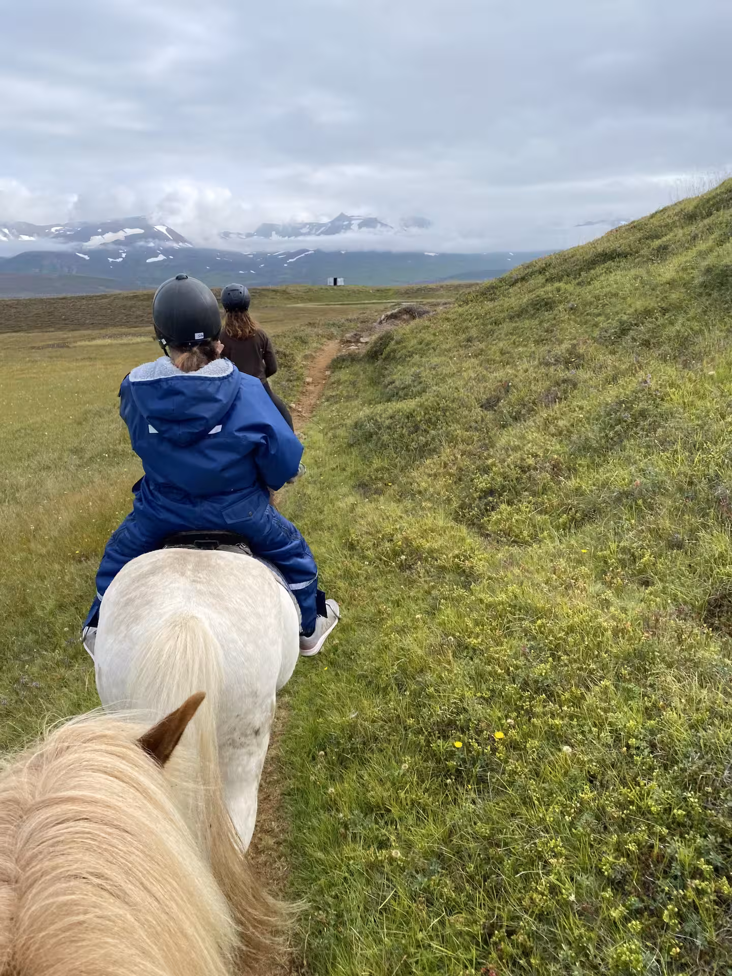 Riders on Icelandic horses follow a grassy countryside trail with snowcapped mountains on a 1 hour tour