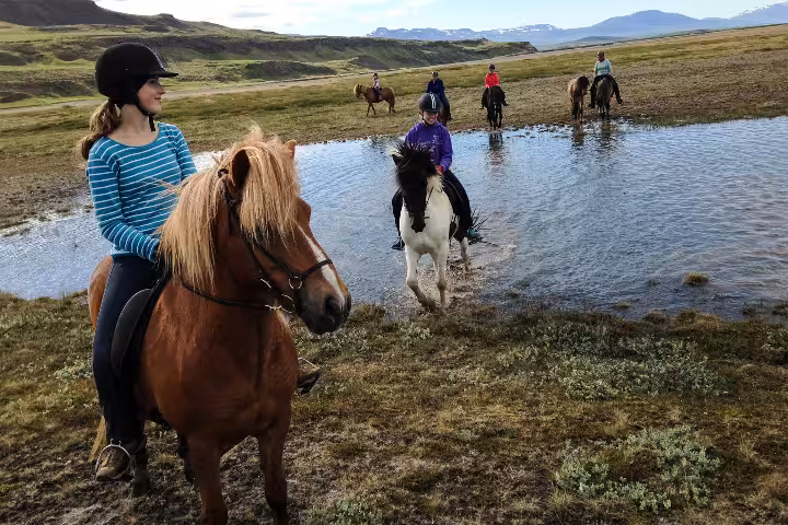 Group of riders on Icelandic horses crossing a shallow river delta during a guided horse riding tour