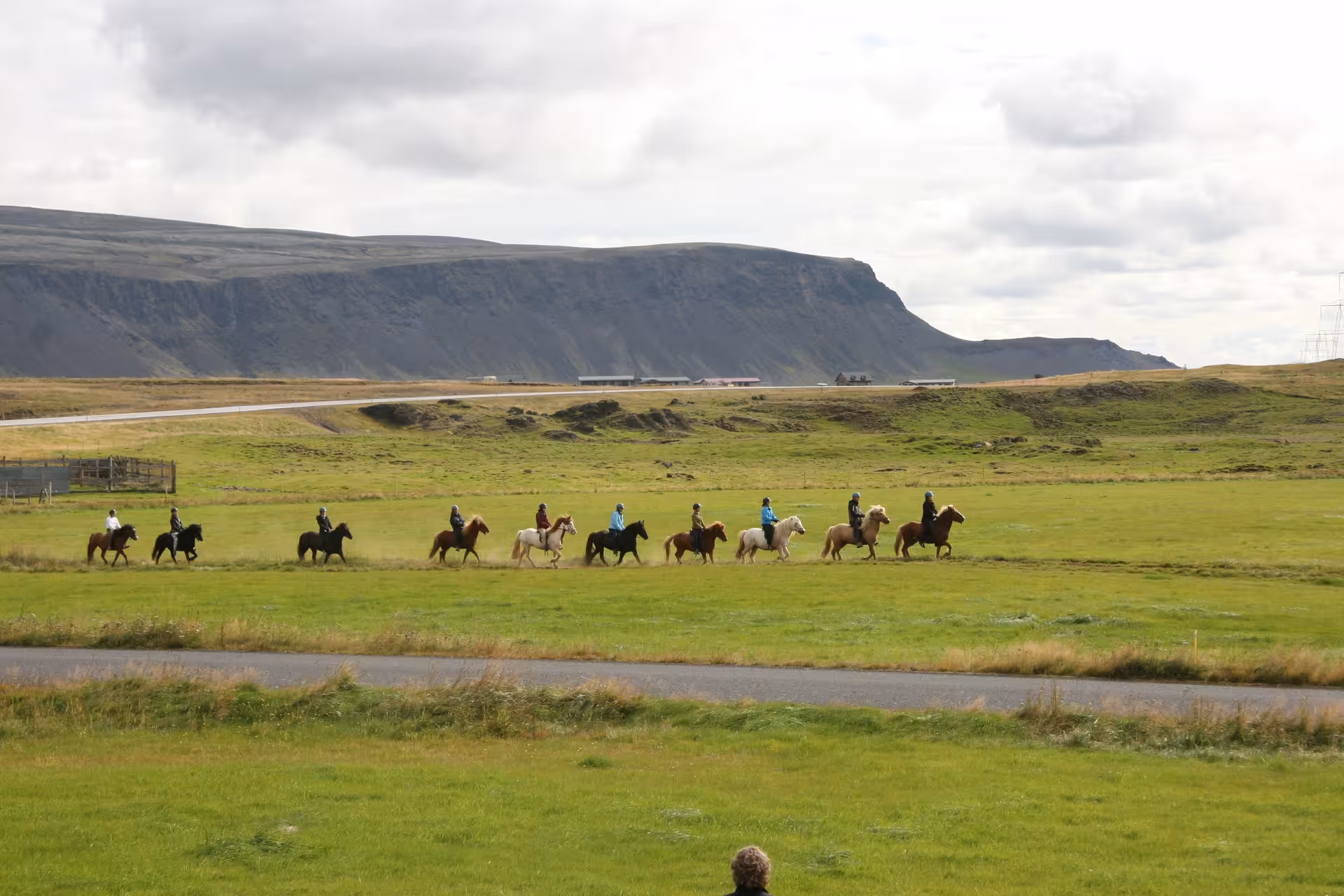 Large group on Icelandic horses trekking across green farmland with dramatic cliffs on a guided Iceland horse tour
