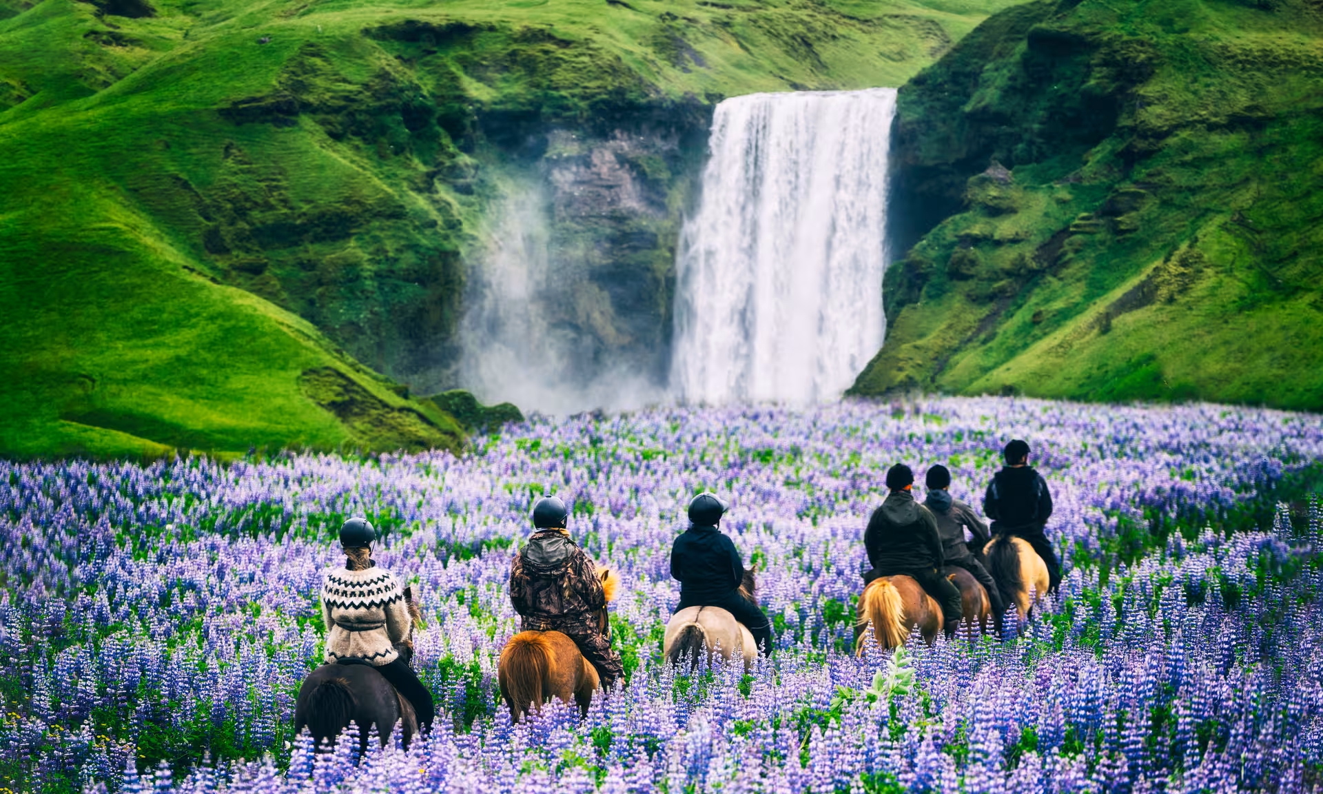 Group horseback riding through lupine fields towards Skógafoss waterfall on Iceland's scenic self-drive route.