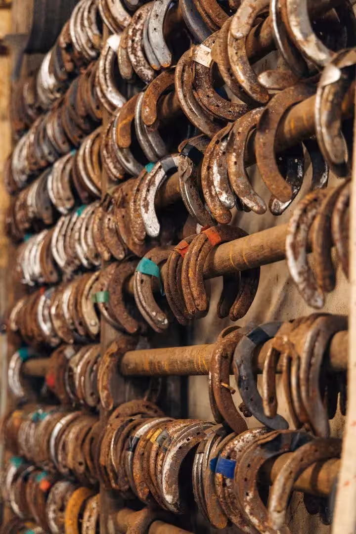 Rustic horseshoes lined on stable wall, a detail from private Iceland horseback riding tour near Goðafoss