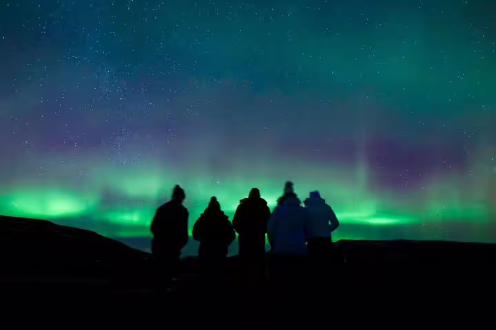 Group of five people silhouetted against vibrant green and purple Northern Lights in Iceland night sky