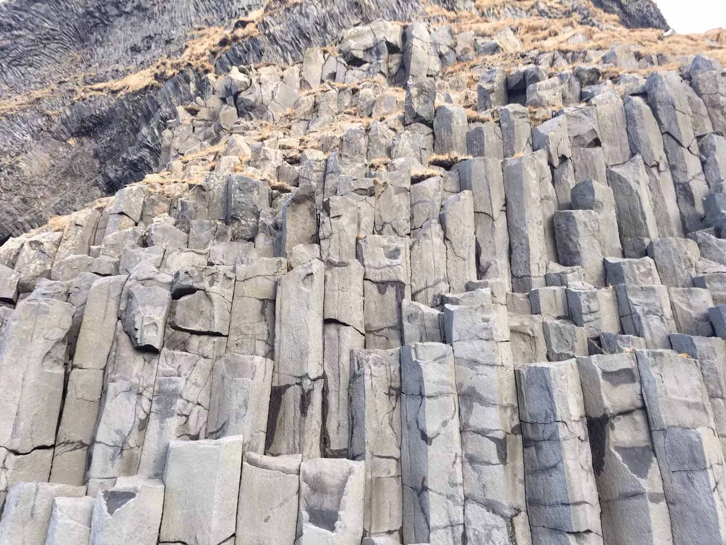 Towering basalt columns at Iceland's black rock cliffs with dry grass patches along Ring Road
