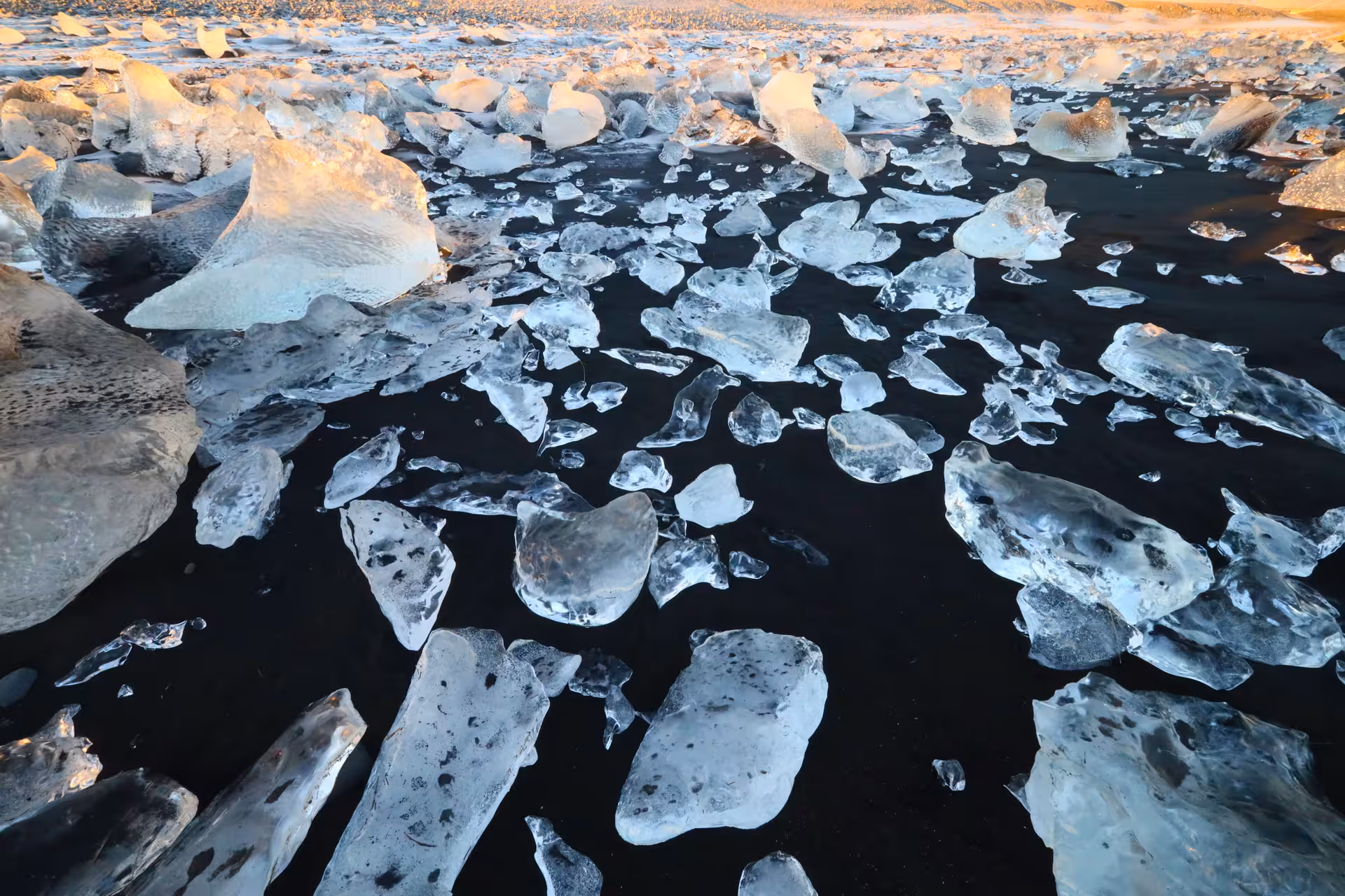 Ice chunks scattered on black volcanic sand beach in Iceland during golden hour