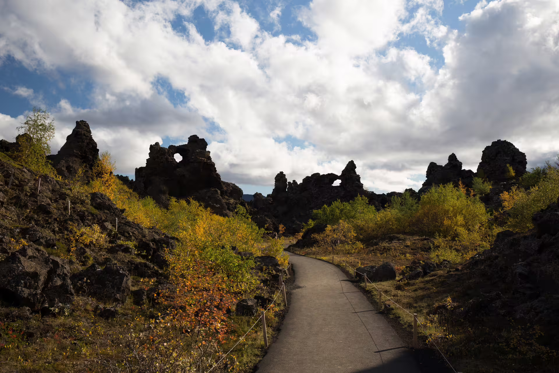 Paved walking path through dramatic black lava rock formations and autumn foliage in Iceland