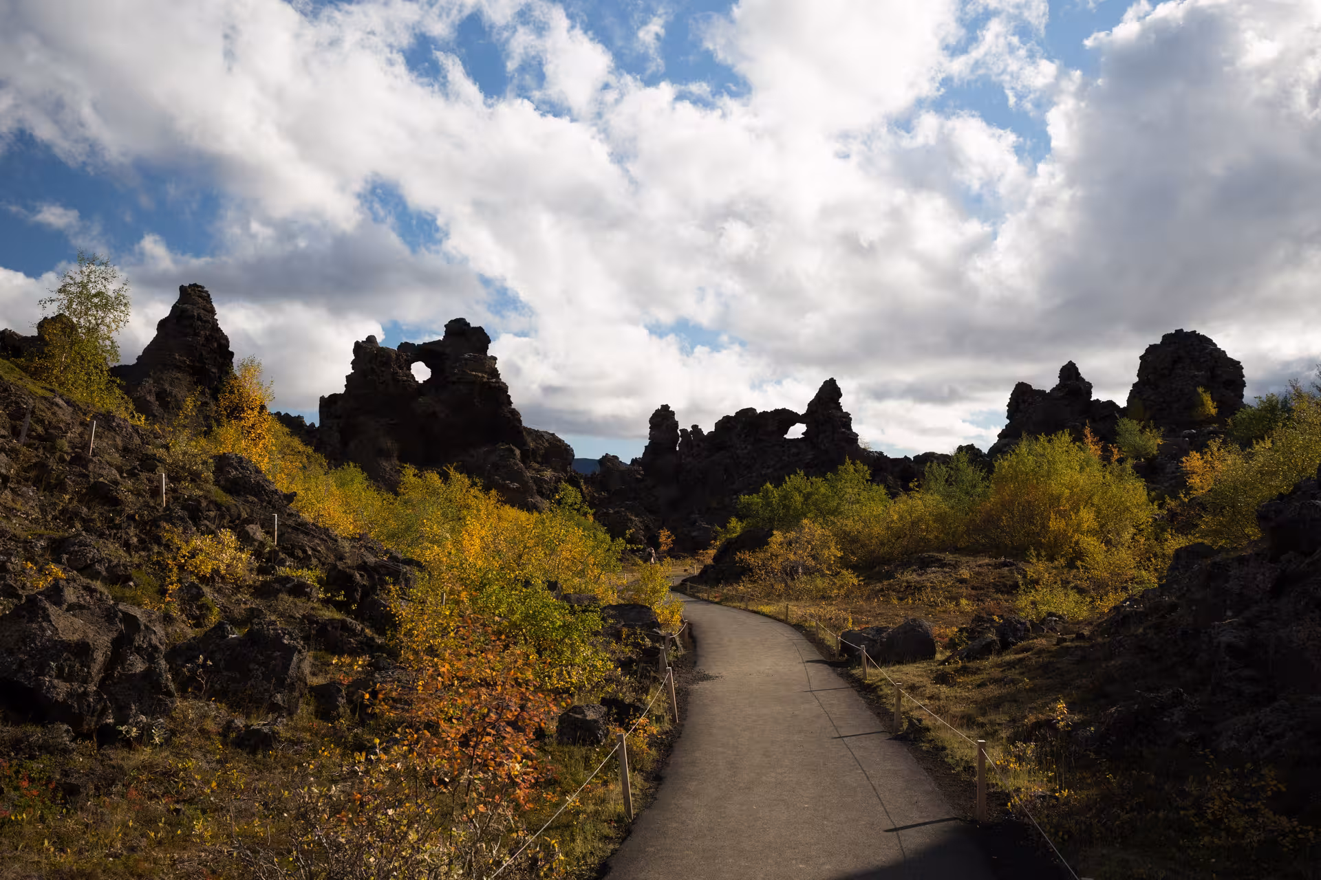 Paved walking path through dramatic black lava rock formations with autumn foliage under cloudy skies in Iceland