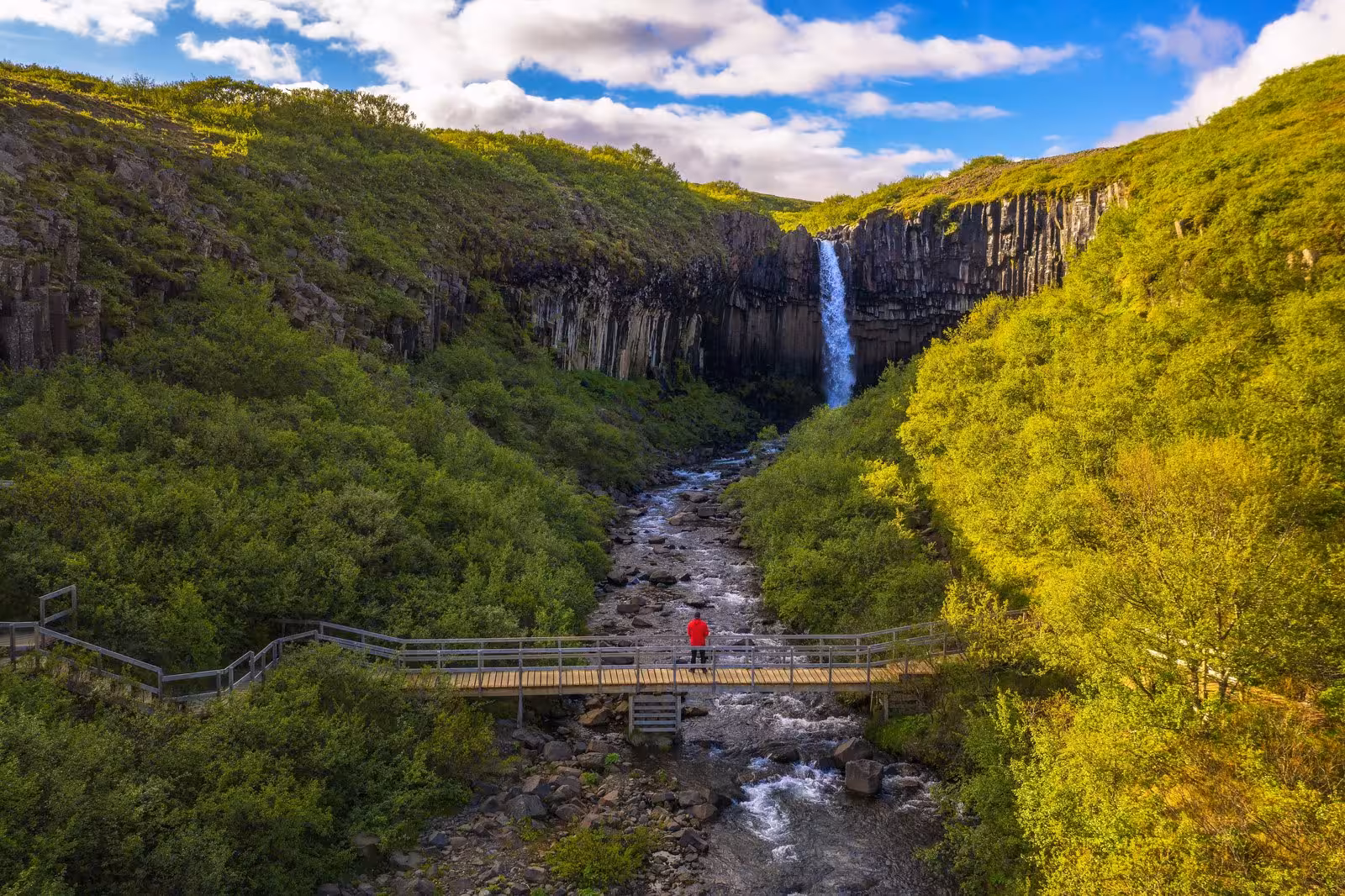 Traveler in red jacket stands on bridge with view of Iceland's Svartifoss waterfall surrounded by lush greenery.