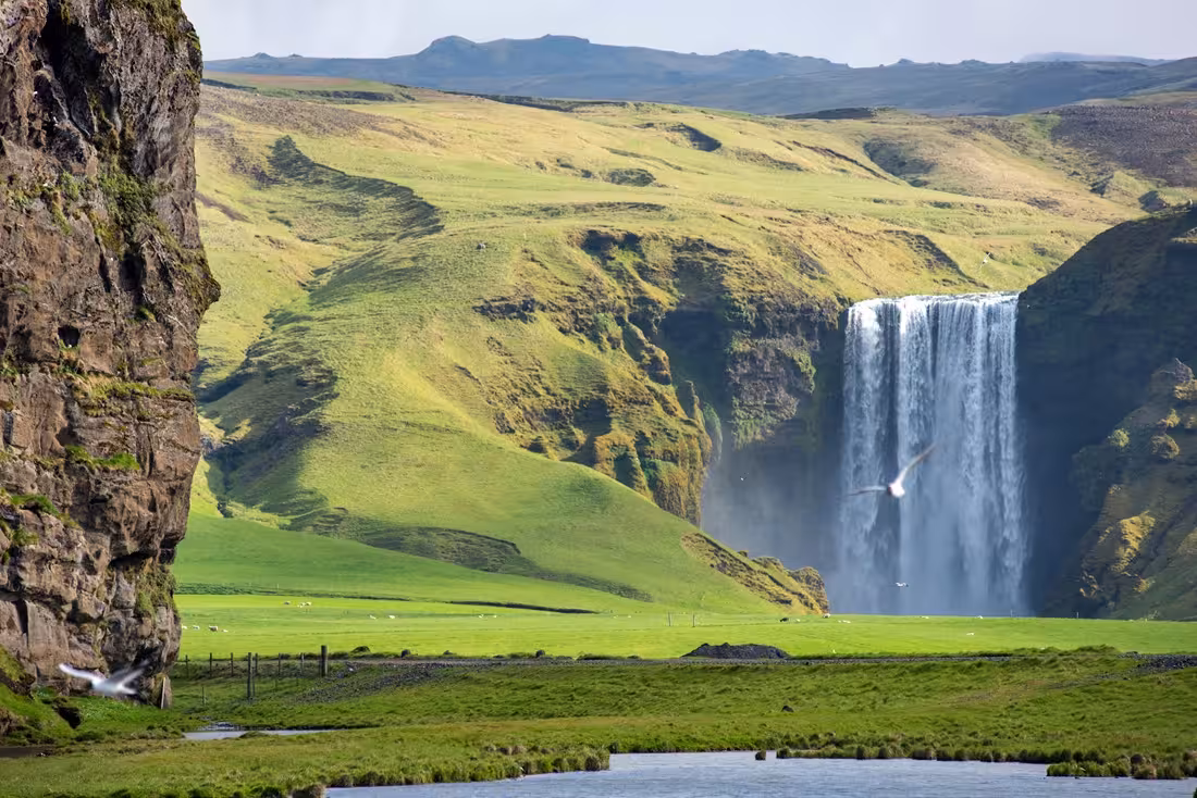 Skógafoss waterfall cascading over green cliffs with lush meadows in Iceland's southern landscape