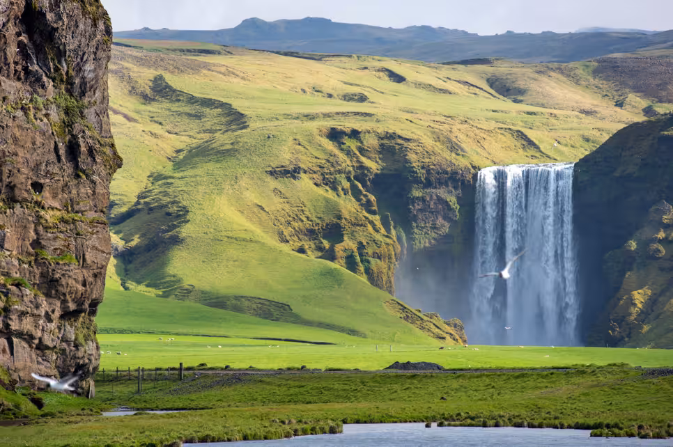 Skógafoss waterfall cascading over green Icelandic cliffs with lush meadows and birds in flight