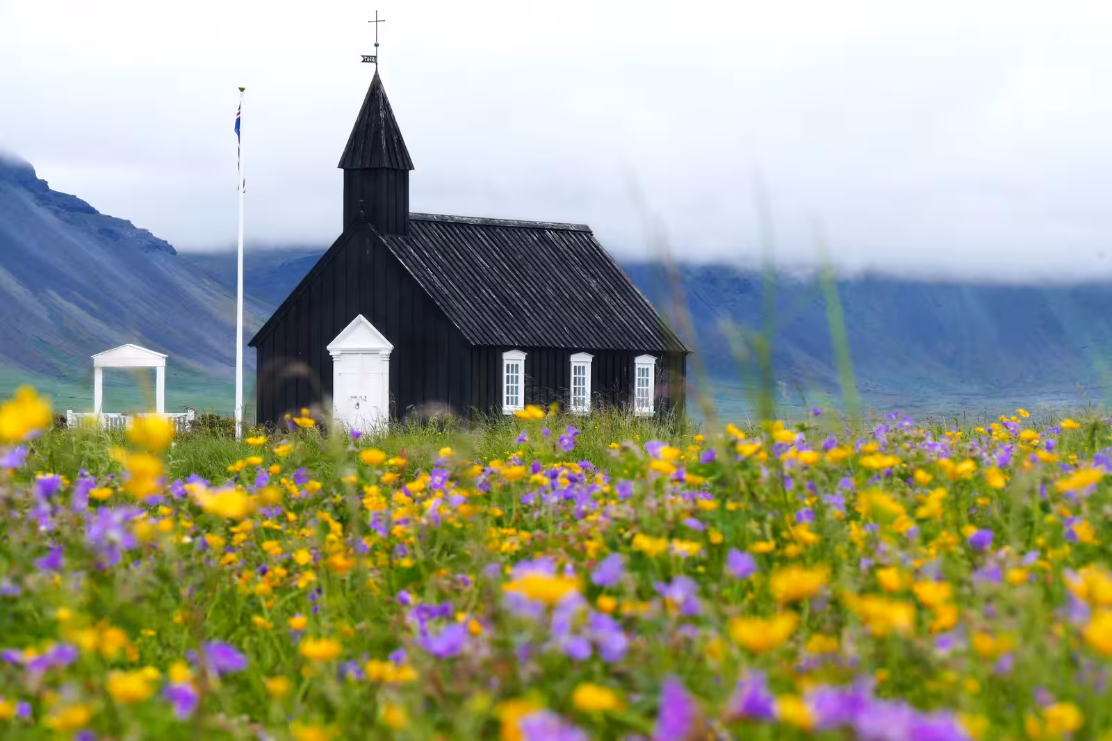Historic black church surrounded by vibrant wildflowers and misty mountains on Iceland's scenic Snaefellsnes Peninsula.