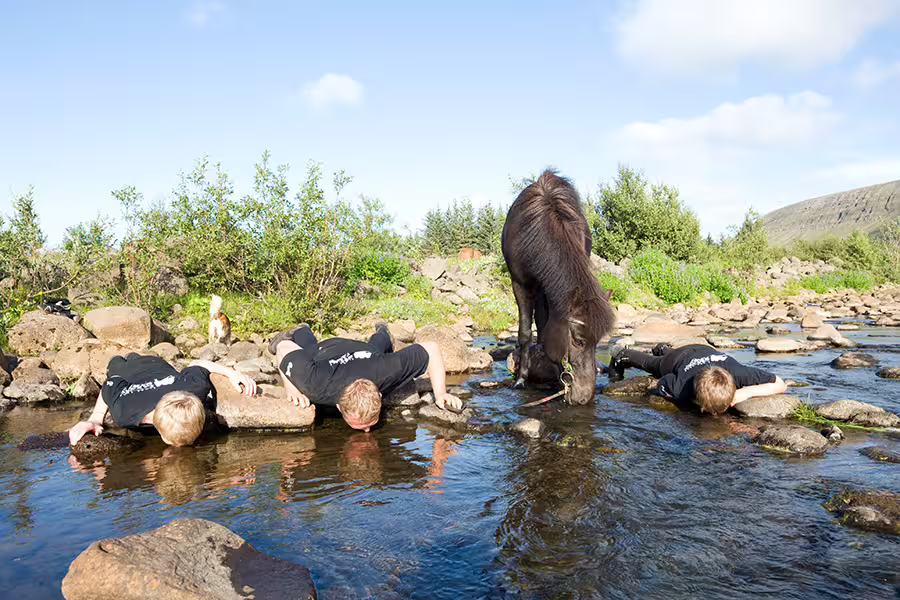 People and a horse drink water from a river in a scenic Icelandic landscape, highlighting adventure and nature exploration.