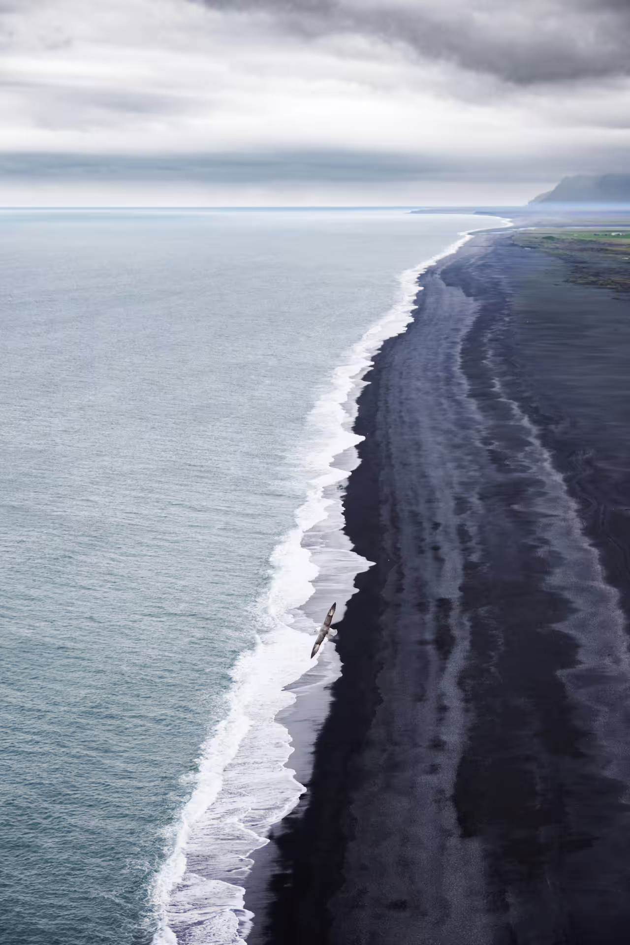 Aerial view of Iceland's black sand beach with white ocean waves and a bird in flight