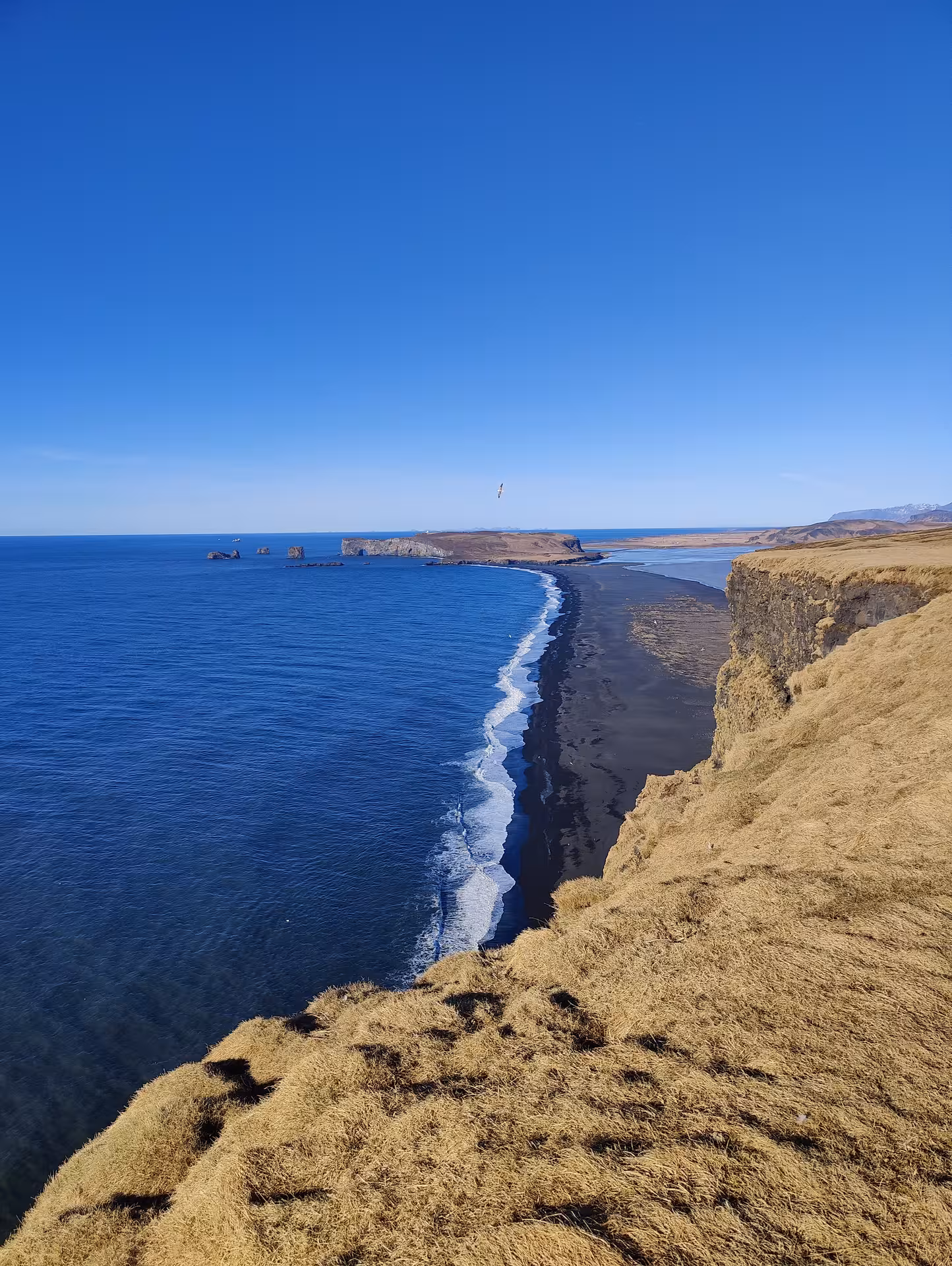 Black sand beach along Iceland's South Coast viewed from dramatic cliffs with deep blue ocean